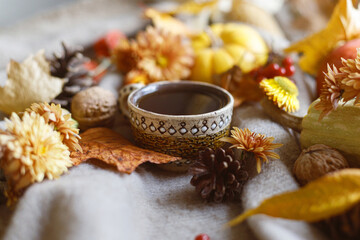 Autumn cozy still life. Cup of tea, pumpkins, fall leaves and flowers, berries and pine cones on woolen scarf. Fall hygge, space for text. Thanksgiving background