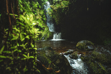 Peaceful rainforest atmosphere at a natural waterfall and pool in the depths of the rainforest. Poco dos Pulgas waterfalls, Madeira Island, Portugal, Europe.