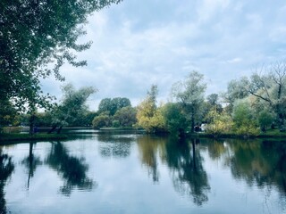 autumn trees reflection on the pond surface, calm water surface, mirror, cloudy sky
