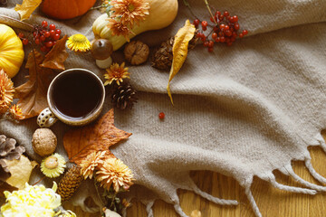 Autumn flat lay. Cup of tea, pumpkins, fall leaves and flowers, berries and pine cones on cozy woolen scarf. Fall hygge, space for text. Thanksgiving background