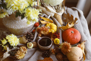 Chrysanthemum in vase, cup of tea, pumpkins, fall leaves, berries and pine cones on table in living room. Autumn cozy still life. Fall banner, space for text. Thanksgiving hygge