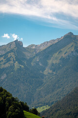 Forest background. Forest in the Alps mountains, Swiss. Mountain landscape. Forest landscape. Mountain side forest of trees in Switzerland. Ecosystem nature and environment concepts. Natural landscape