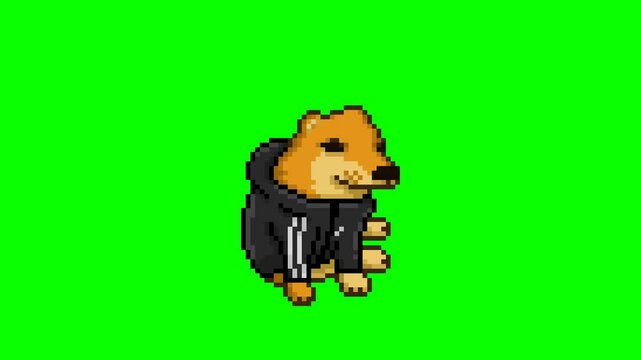 Dog in sweater, pixel art meme animation 