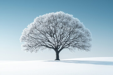 A bare tree standing in a field of snow, representing resilience and survival. Concept of minimalism.