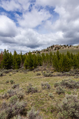 Scenic View of Yellowstone National Park Landscape with Clouds and Evergreens in Wyoming, USA