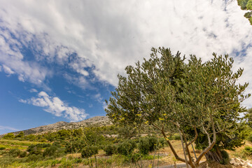Obraz premium Monastery and Church of Our Lady of the Angels Trpanj Orebic Croatia