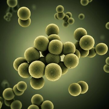 Cluster of yeast cells under microscope in green-toned environment
