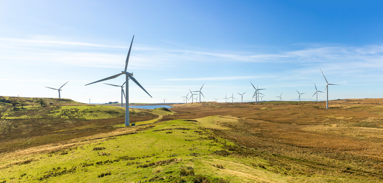 Renewable green energy wind farm with many turbines near freshwater reservoir lake on wild grassy moor in Scottish countryside