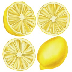 Hand-painted watercolor set of lemon illustration clipart isolated on white background. 