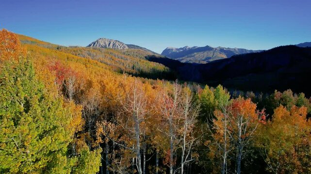 Autumn Flight Through The Rocky Mountains Over Colorful Forest 