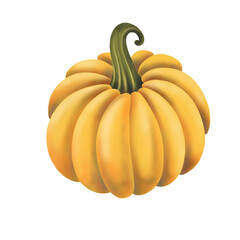 Watercolor yellow pumpkin illustration isolated on transparent background. Hand drawn ilustration. One object. Perfect for autumn decor, Halloween, Thankgiving, recipes, cookbook. 