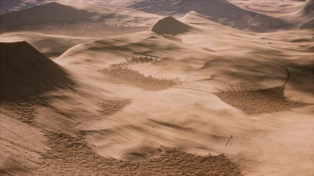 3D. Egypt. Sahara Desert. Sand Dunes