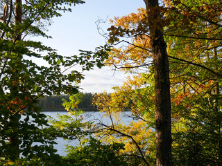 Beaytiful early autumn colors on trees next to a lake. Sunlight and blue sky. Landscape photography.
