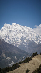 The landscape on the Annapurna Circuit hiking route in Nepal
