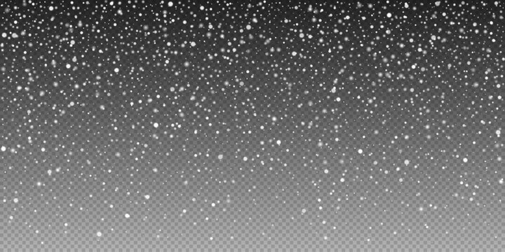 Snow overlay dust with sparkling snowflakes. Snowfall and winter snowstorm on clear transparent background. For seasonal greetings, decorations and winter projects. Vector illustration snow flakes