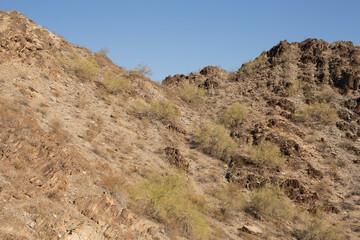 Landscape within the North Mountain Park, Phoenix