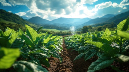 A field of green plants with a mountain in the background. The plants are lush and healthy, and the sky is clear and bright. Concept of peace and tranquility, as well as the beauty of nature