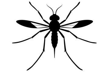 Mosquito silhouette, Bloodsucking icon black symbol vector, Close up mosquito silhouette


