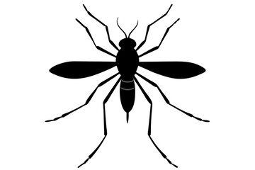 Mosquito silhouette, Bloodsucking icon black symbol vector, Close up mosquito silhouette

