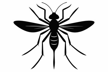 
Mosquito Icon, Bloodsucking Vector Silhouette, Close Up Mosquito Silhouette