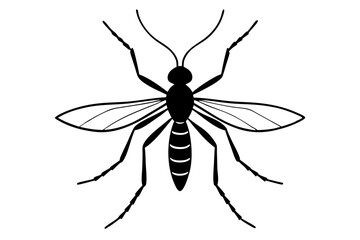 
Mosquito Icon, Bloodsucking Vector Silhouette, Close Up Mosquito Silhouette
