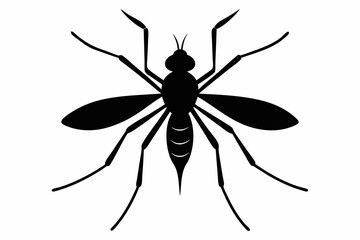 
Mosquito Icon, Bloodsucking Vector Silhouette, Close Up Mosquito Silhouette