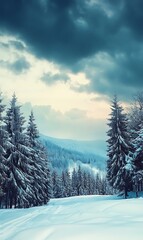 Fantastic winter landscape with snow covered trees. Dramatic sky. Carpathian, Ukraine, Europe. Beauty world.