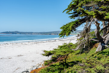 Carmel by the sea, California with waves crashing on beach