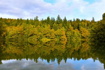 Lake at Rakov Škocjan nature park with a reflection of the forest at the shore in the water in Notranjska, Slovenia