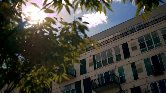Sunlight shining through branches near modern apartment building - Sunny