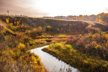 Autumn morning by the river