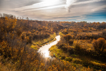 Autumn morning by the river