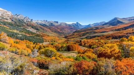 Obraz premium A vibrant autumn landscape with colorful foliage and mountains under a clear blue sky.