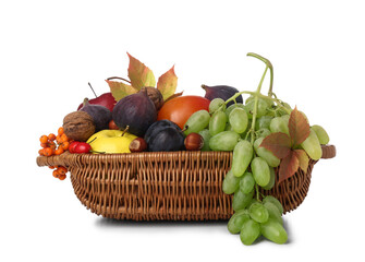 Wicker basket with different fresh fruits on white background