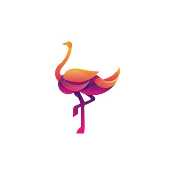 OSTRIC LOGO TEMPLATE