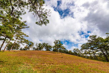 Nature at Suoi Vang lake, Dalat countryside, Vietnam