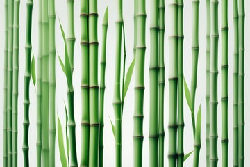 Obraz premium Delicate, vertical lines representing bamboo stalks
