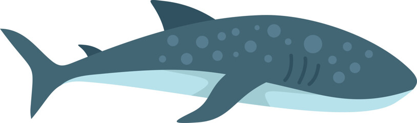 Whale shark swimming underwater with its mouth open © anatolir