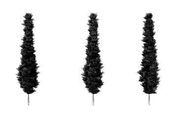 Unique trio of stylized cypress trees standing in a minimalist arrangement against a plain background