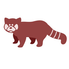 アライグマ