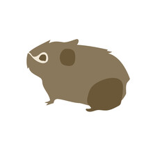 エゾナキウサギ