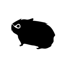 エゾナキウサギ