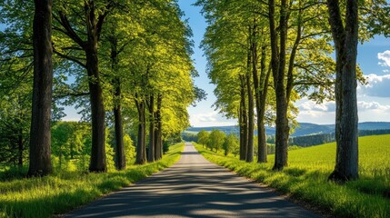 Obraz premium Serene Road Through Lush Green Trees