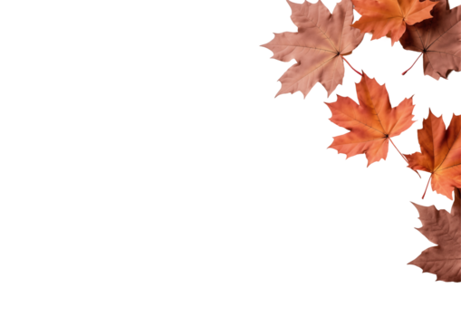 Orange Autumn Maple Leaves Placed On A Wooden Surface With Copy Space