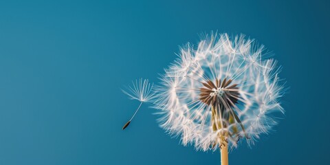 A Single Dandelion Seed Taking Flight Against a Vibrant Blue Sky.