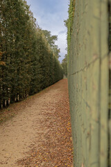 Wooden green fence in the alley in the city park