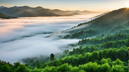 Fototapeta premium Sunrise Over Foggy Mountain Forest