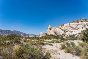 Fototapeta premium Cajon Valley Formation, Unit 2. Conglomerate and conglomeratic sandstone. Mormon Rocks, Phelan, San Bernardino County, California geology. Cajon Pass. hogback or hog's back. San Andreas Fault. 