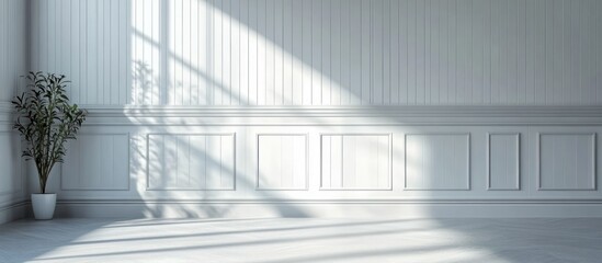 Obraz premium Empty White Room with Wainscot and Plant.