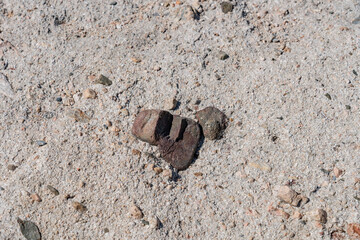 Cajon Valley Formation, Unit 2. Conglomerate and conglomeratic sandstone. Mormon Rocks, Phelan, San Bernardino County, California geology. Cajon Pass.  hogback or hog's back.  San Andreas Fault